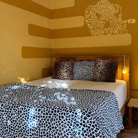 Paradisegarden Backpackers Windhoek Bagian luar foto