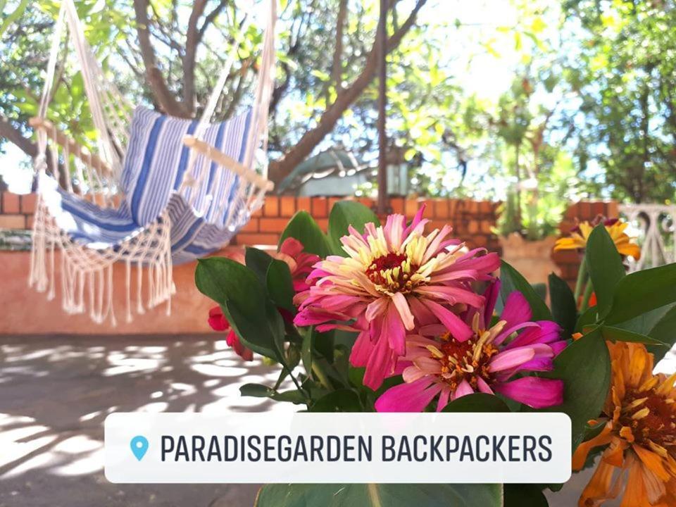 Paradisegarden Backpackers Windhoek Bagian luar foto