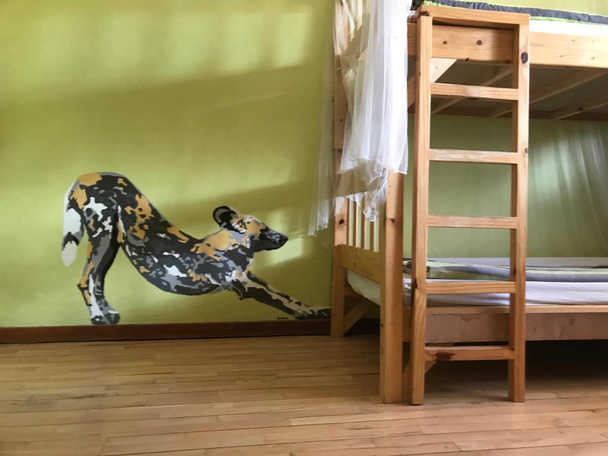 Paradisegarden Backpackers Windhoek Bagian luar foto