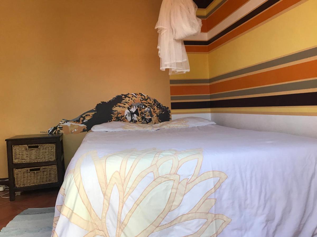 Paradisegarden Backpackers Windhoek Bagian luar foto